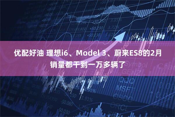 优配好油 理想i6、Model 3、蔚来ES8的2月销量都干到一万多辆了