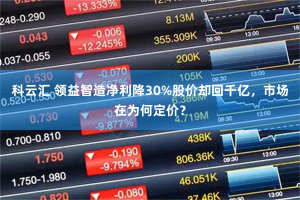 科云汇 领益智造净利降30%股价却回千亿，市场在为何定价？